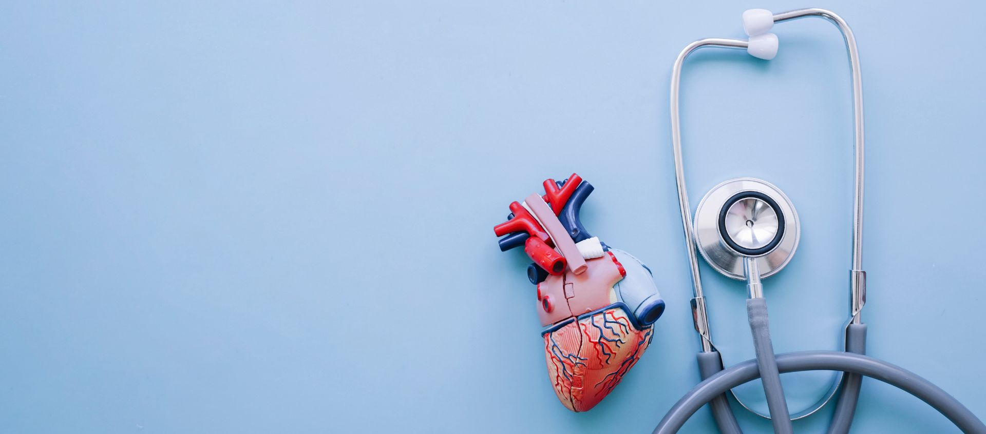 cardiologist